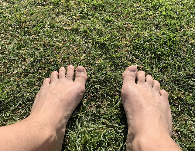 Captura de Pantalla 2023-08-31 a la(s) 15.52.53